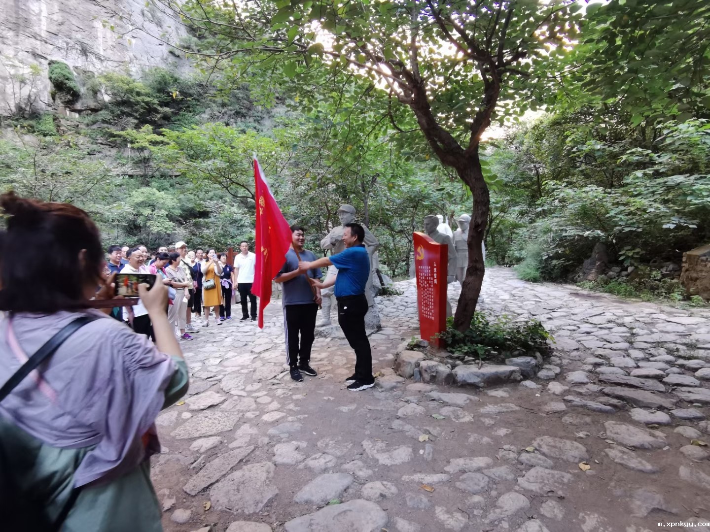 1599554232639051938.jpg 1599554232639051938.jpg