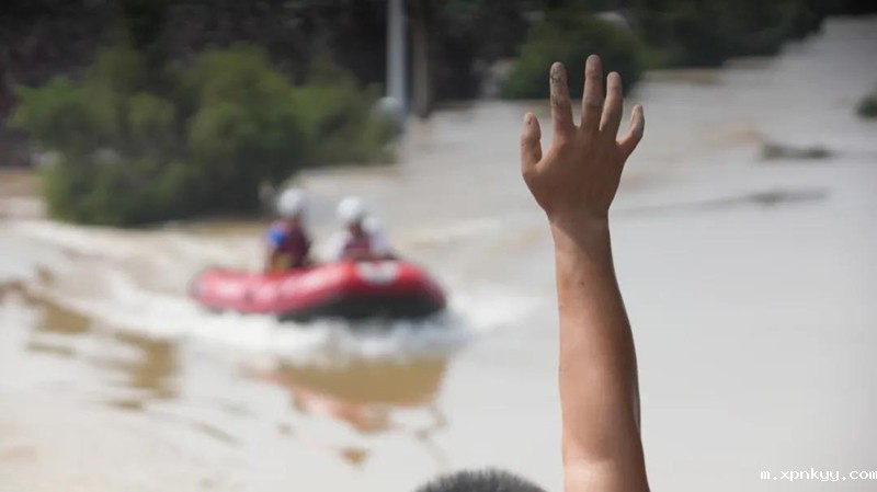 1627178157271011478.jpg 9.jpg