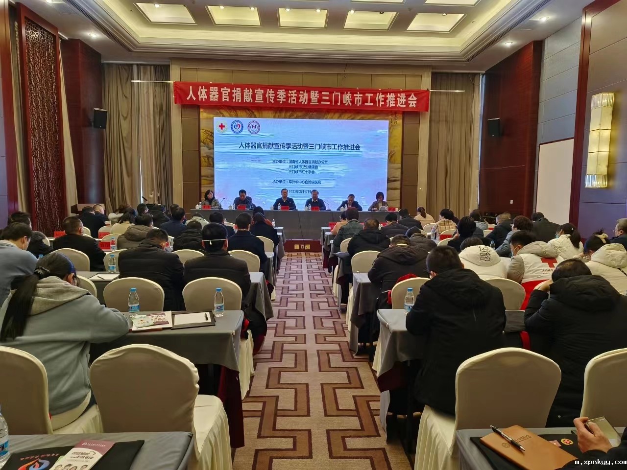 1676941413677000217.jpg 1.jpg