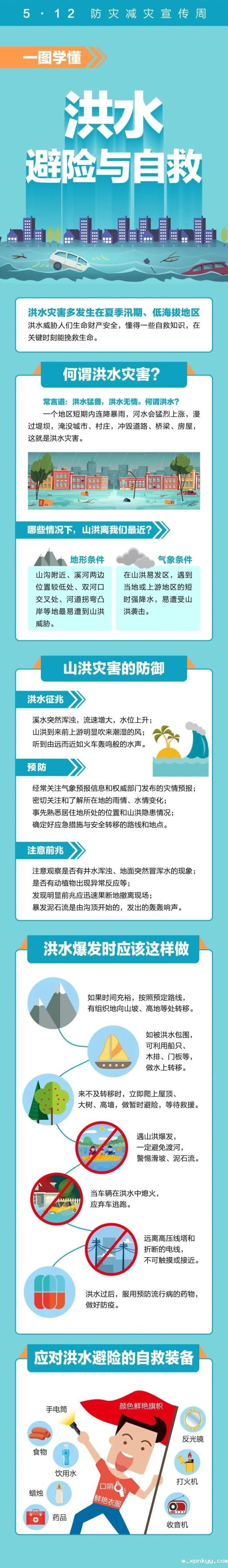 1677142104887047936.jpg 4.jpg