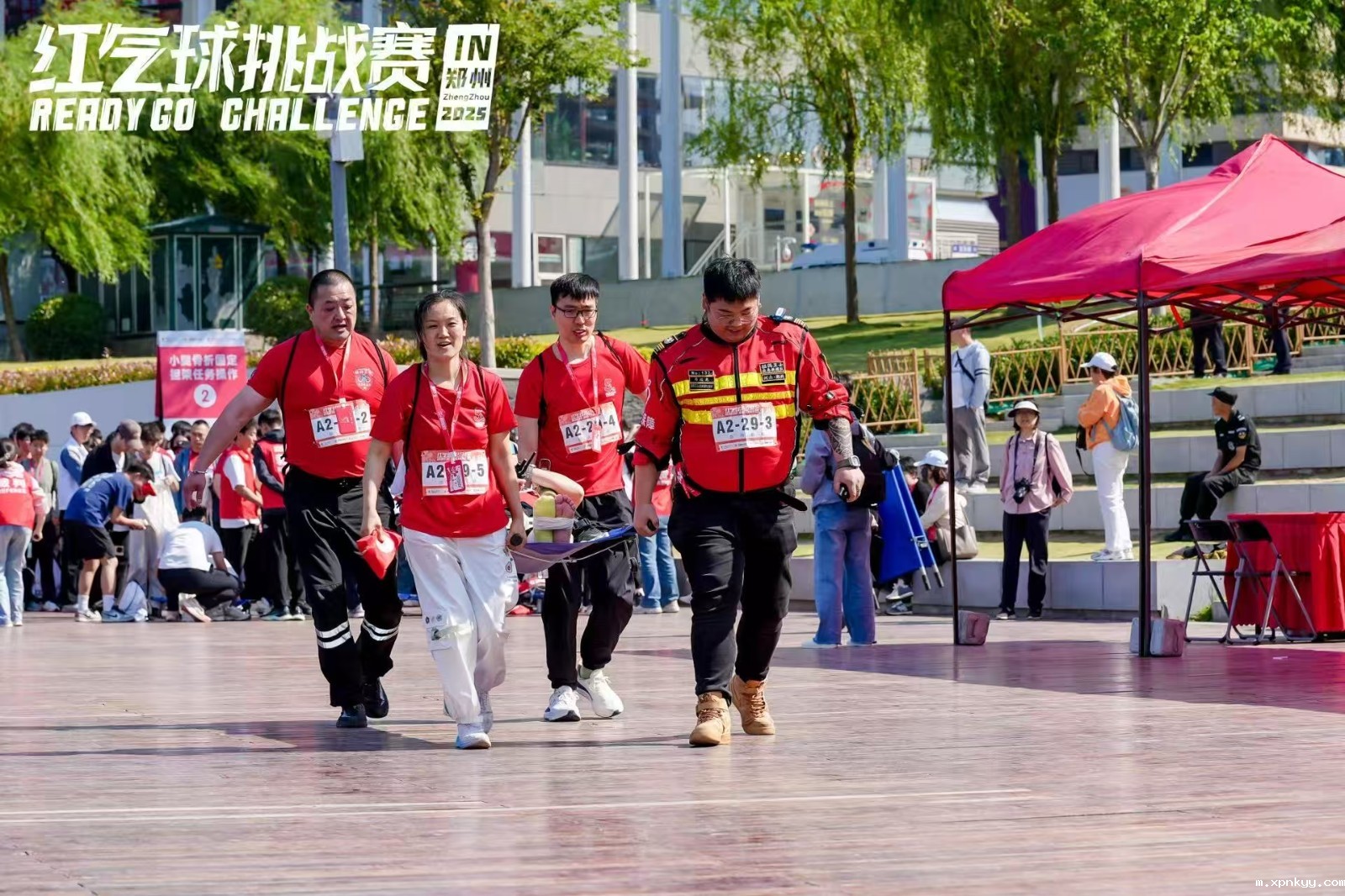 1747009173421068264.jpg 担架.jpg